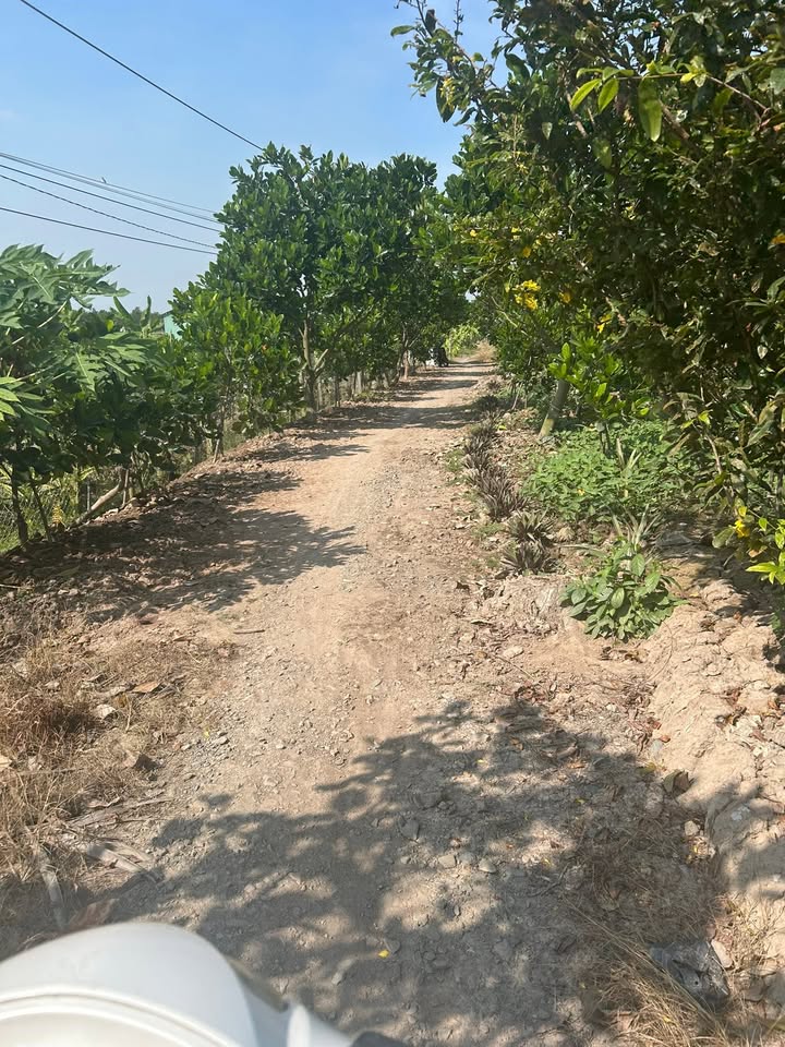 Đất nền 1200m² tại Mỹ Trung, Châu Thành giá 800 triệu - View sông tuyệt đẹp!