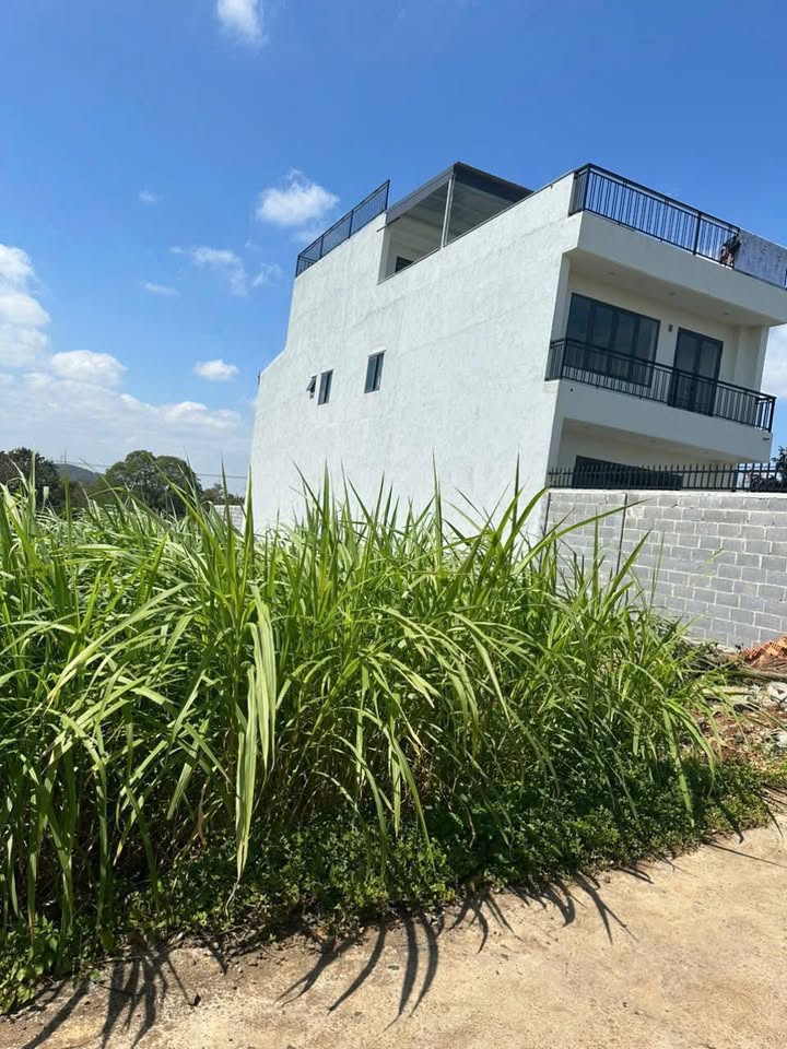 Lô đất 10m x 32m tại xã Ea Kao - Giá chỉ 1.29 tỷ, thổ cư 60m²!