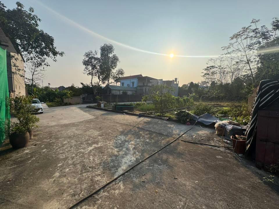 Đất thổ cư 100m² Dinh Hương, Thị trấn Thắng giá 800 triệu - Cơ hội đầu tư lý tưởng!