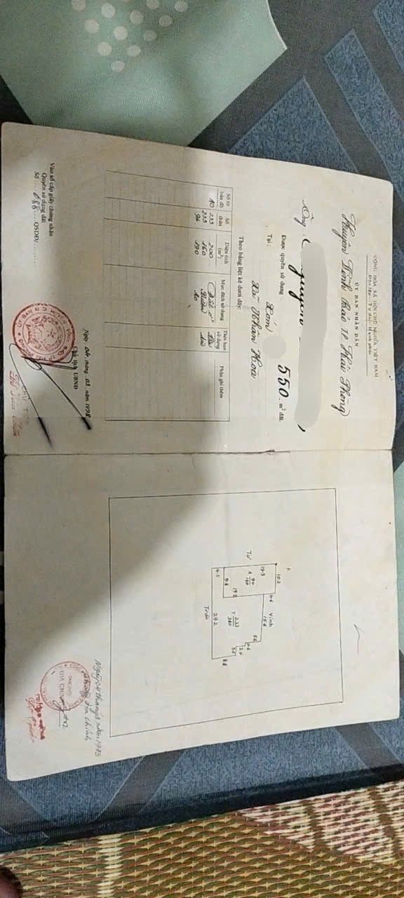 Đất Farm 550m² tại Vĩnh Hoà, Vĩnh Bảo - Giá chỉ 2 tỷ, bán gấp!