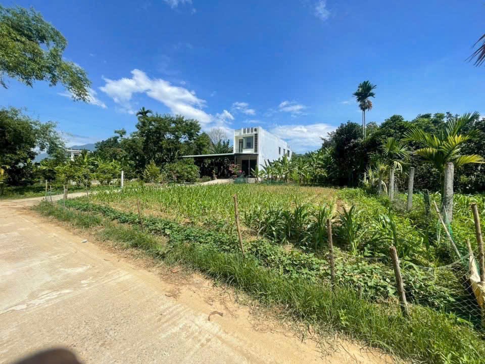 Đất nhà vườn Hòa Nhơn Hòa Vang Đà Nẵng 1000m² giá 3 tỷ - Sổ đỏ chính chủ, đầu tư lý tưởng!