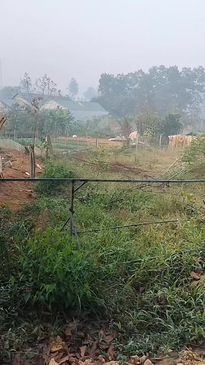 Đất thổ cư 273m² và đất vườn 500m² tại khu 11, Ngọc Quan - Giá chỉ 1.6 tỷ!