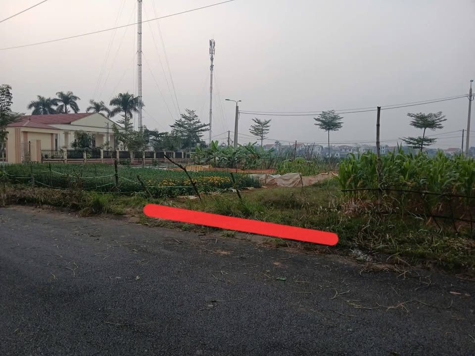 Đất nền xã Đồng Thịnh, Huyện Sông Lô 87.5m² giá 2 tỷ - Vị trí đẹp, giao thông thuận tiện!