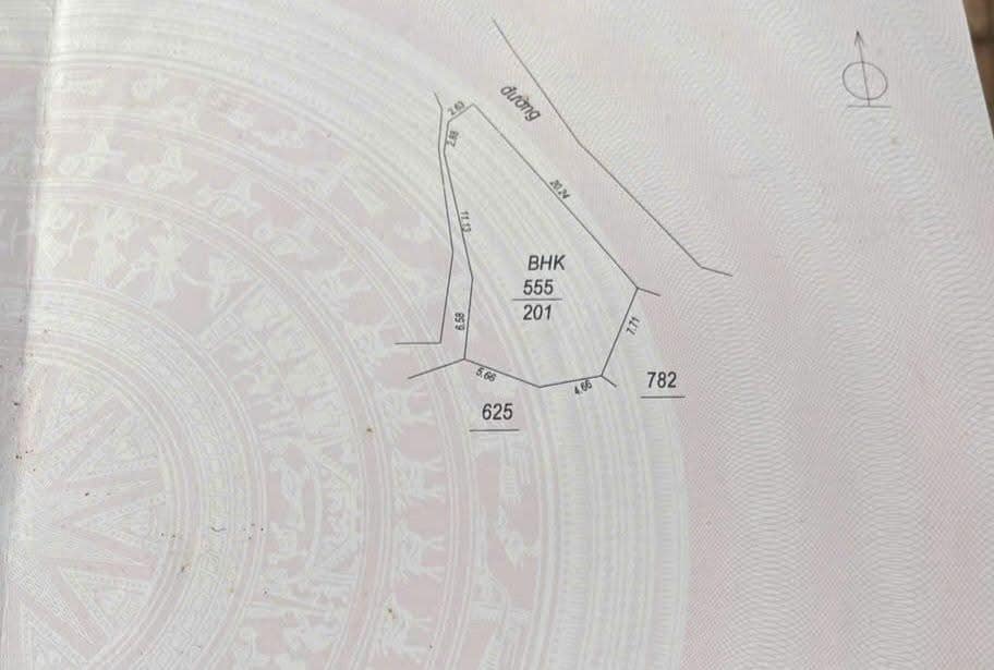 Đất nền 201m² Phường 10, Quận 6 giá 3.9 tỷ - Đường xe tải, thuận tiện di chuyển!