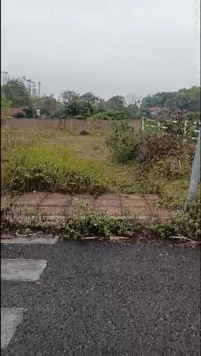 Đất thổ cư Khu 5 Hưng Hóa 129m² giá 9xx triệu - Cơ hội đầu tư hấp dẫn!