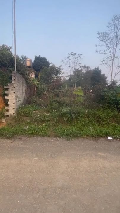 Đất thổ cư Phú Hộ, Phú Thọ 125m² giá 1 tỷ - Đầu tư sinh lời ngay!