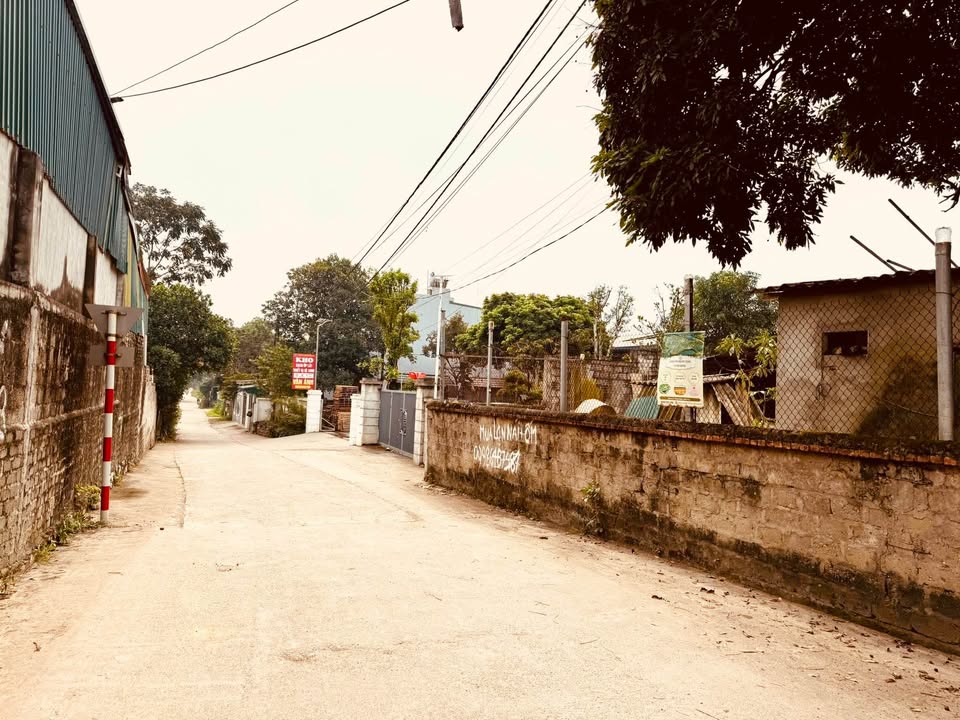 Đất thổ cư 100m² tại tổ dân phố số 10, QL 37 - Gần chợ và trường học!