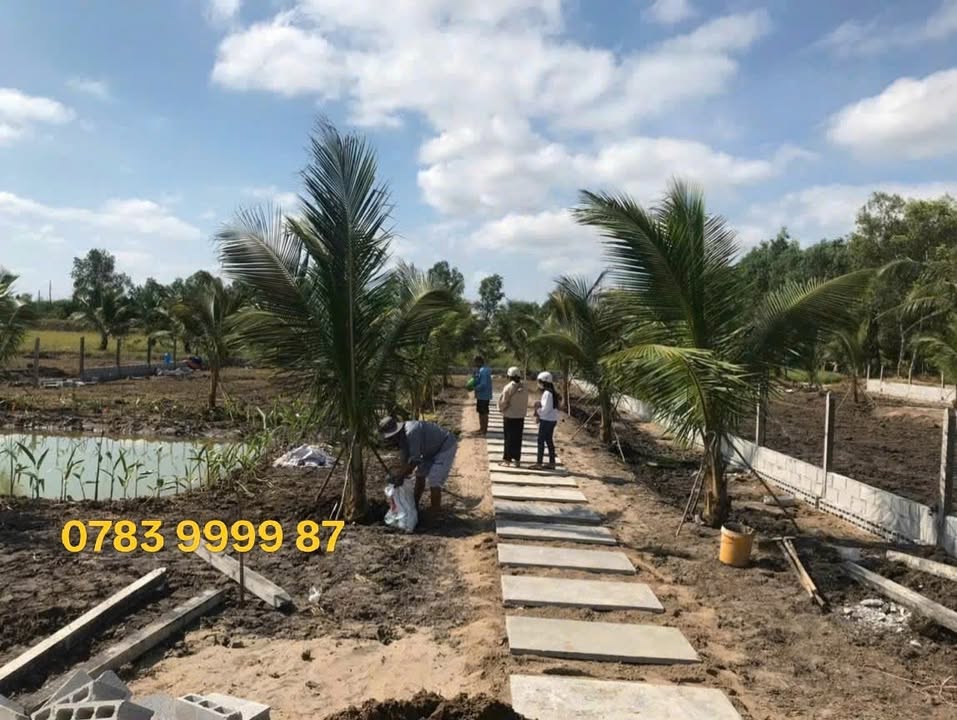 Đất vườn Gò Dầu 1000m² giá 1.15 tỷ - Tiềm năng đầu tư sinh lời cao!