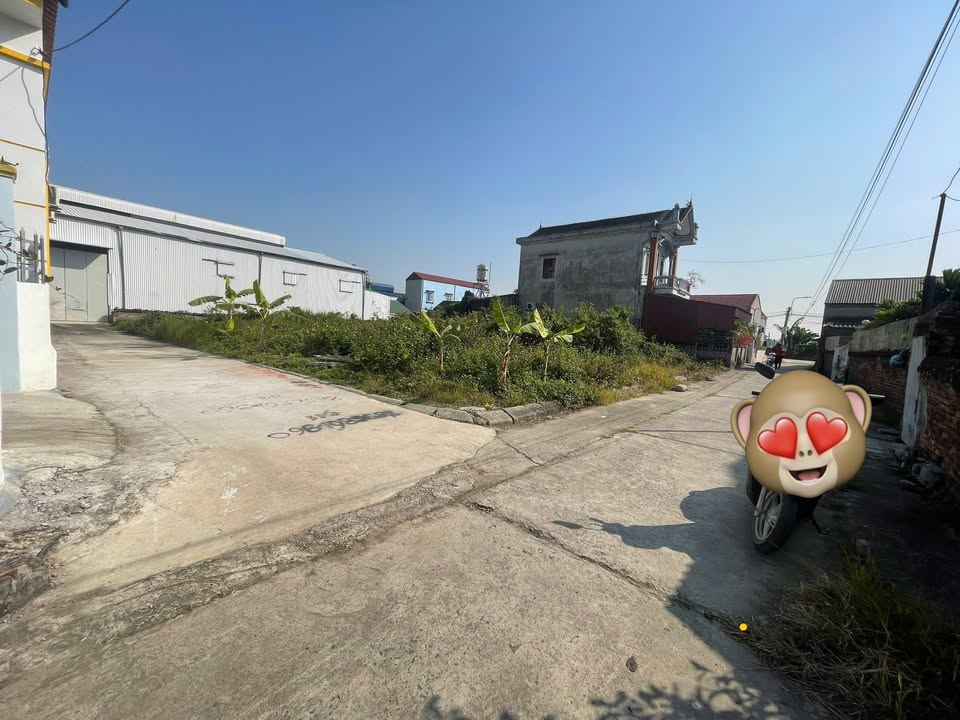 Đất thổ cư Thái Hòa, Bình Giang 102m² giá 9xx triệu - Đầu tư sinh lời ngay!