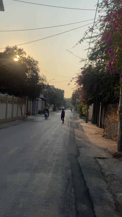 Đất Phù Lưu Tế, Mỹ Đức, Hà Nội 87.7m² giá 877 triệu - Cơ hội đầu tư tuyệt vời!