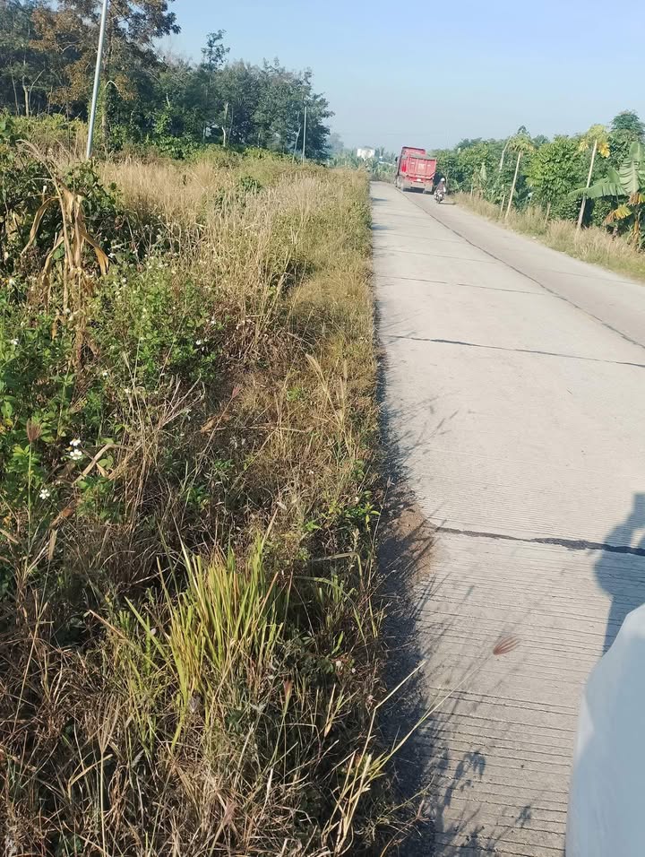 Đất nền 9 sào tại Huyện Cư Jút, Đắk Nông giá 1.5 tỷ - Đầu tư sinh lời hấp dẫn!