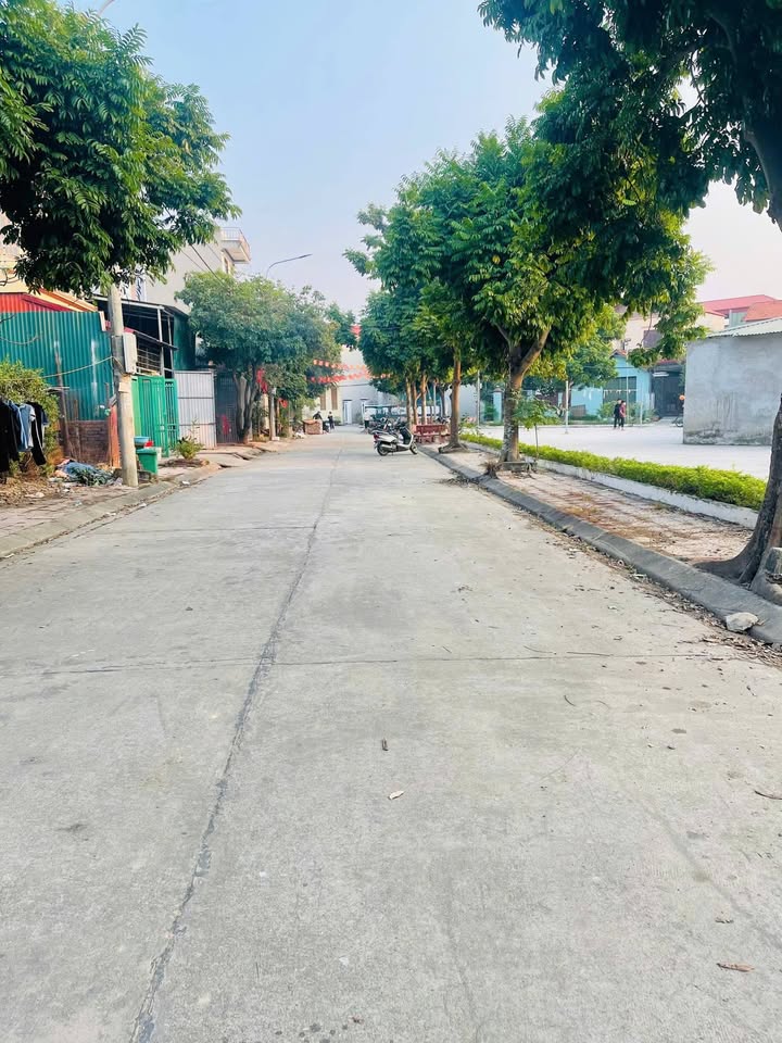 Đất nền 100m² tại khu Giàn Chiếu, Hợp Hòa, Tam Dương - Đầu tư sinh lời 2 tỷ!