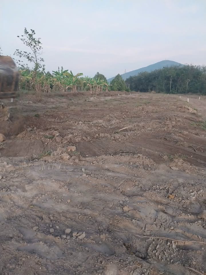 Đất nền phường Bình Minh Tây Ninh 1285m² giá 3xx triệu - Gần trung tâm thành phố!