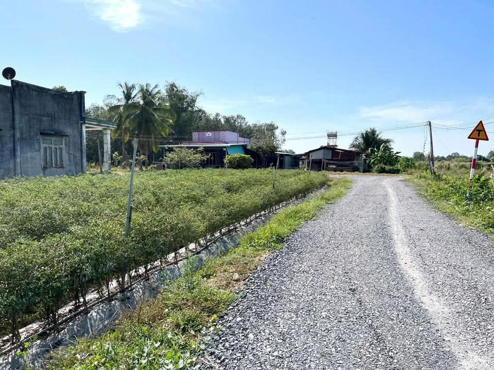 Đất nền 100m² tại Xã Ninh Điền, Tây Ninh giá 1.85 tỷ - Đường ô tô vào tận nơi!