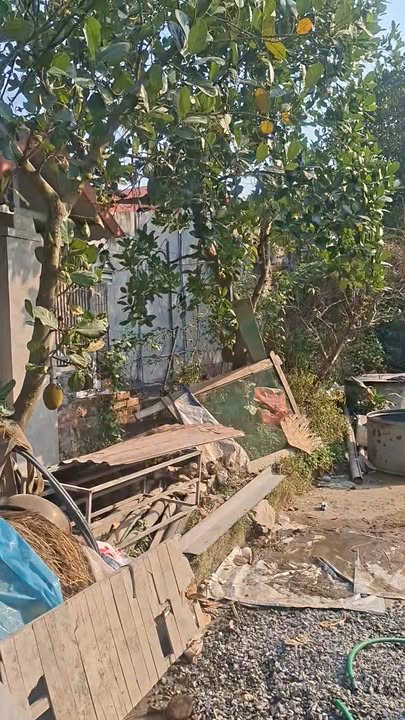 Đất nền thôn Bá Đông, xã Vĩnh An, Hải Phòng 100m² - Đầu tư sinh lời tốt!