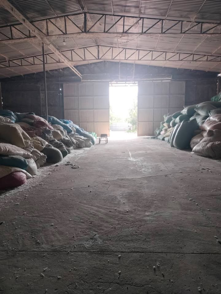 Cho thuê xưởng 2300m² tại ấp Tân Bắc, xã Bình Minh, Đồng Nai - Giá chỉ 50 triệu/tháng!