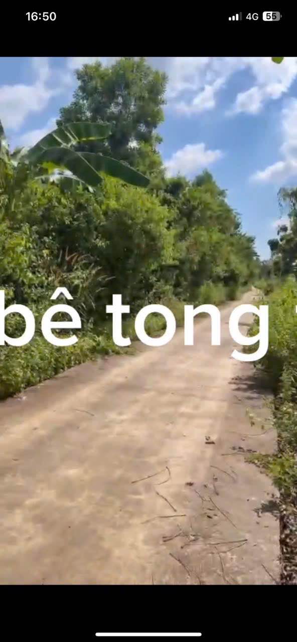 Đất nền xã Phú Tân Định Quán 1010m² giá 350 triệu - Sổ riêng, mặt tiền đẹp!