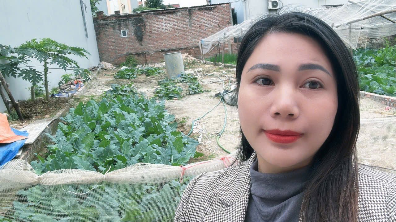 Đất nền Hiền Ninh Sóc Sơn 98m² giá mềm - Sổ đỏ chính chủ, xây nhà ngay!