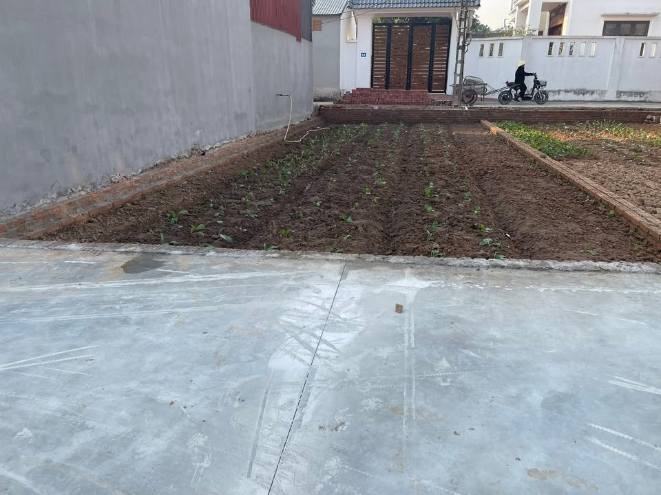 Đất nền 93m² xã Xuân Giang - Đường thông ô tô, giá thỏa thuận!