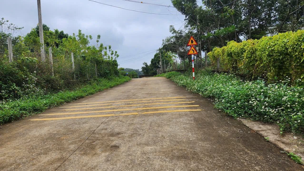 Đất nền xã Minh Quang, Ba Vì, Hà Nội 2250m² - Giá chỉ từ 4 tỷ