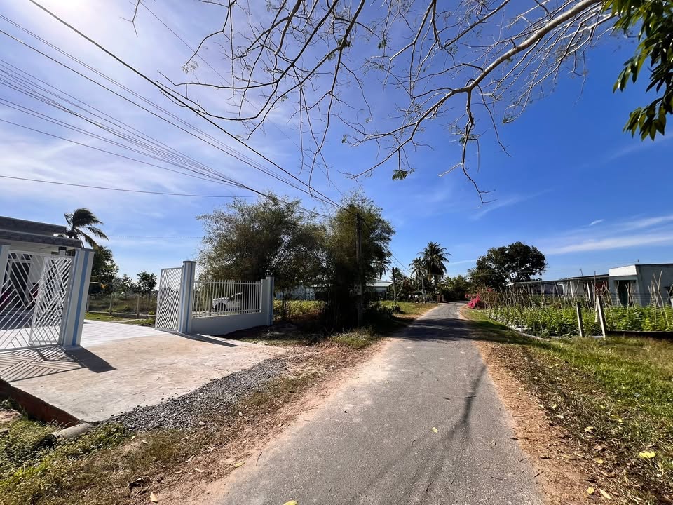 Nhà cấp 4 mặt tiền đường nhựa 600m² tại Thanh Điền, Tây Ninh - Giá tốt, phong thủy đẹp!