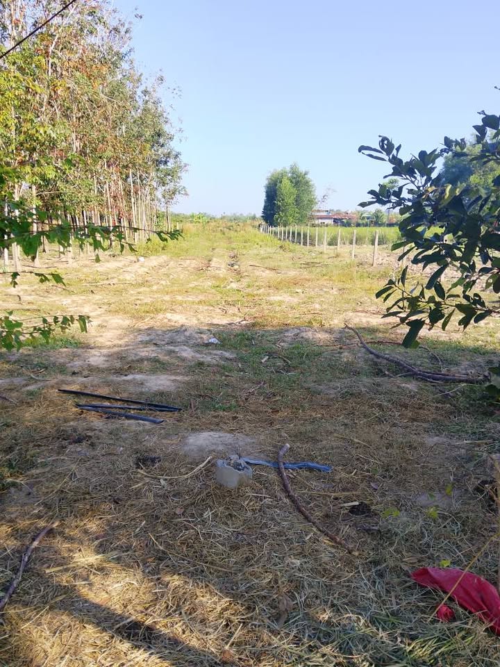 Đất nền An Bình, Châu Thành, Tây Ninh 1144m² - Đường ô tô, giá chỉ 1 tỷ!