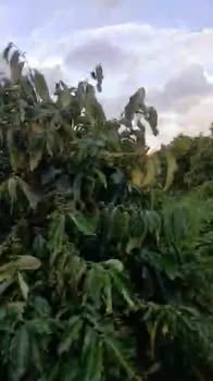 Đất Phúc Thọ Lâm Hà 7400m² giá 3.33 tỷ - Sổ đỏ chính chủ, giao dịch trực tiếp!