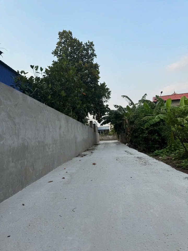 Đất nền Kiến Phong, Đồng Thái 64m² giá 1.5 tỷ - Dân cư đông đúc, tiện ích đầy đủ!