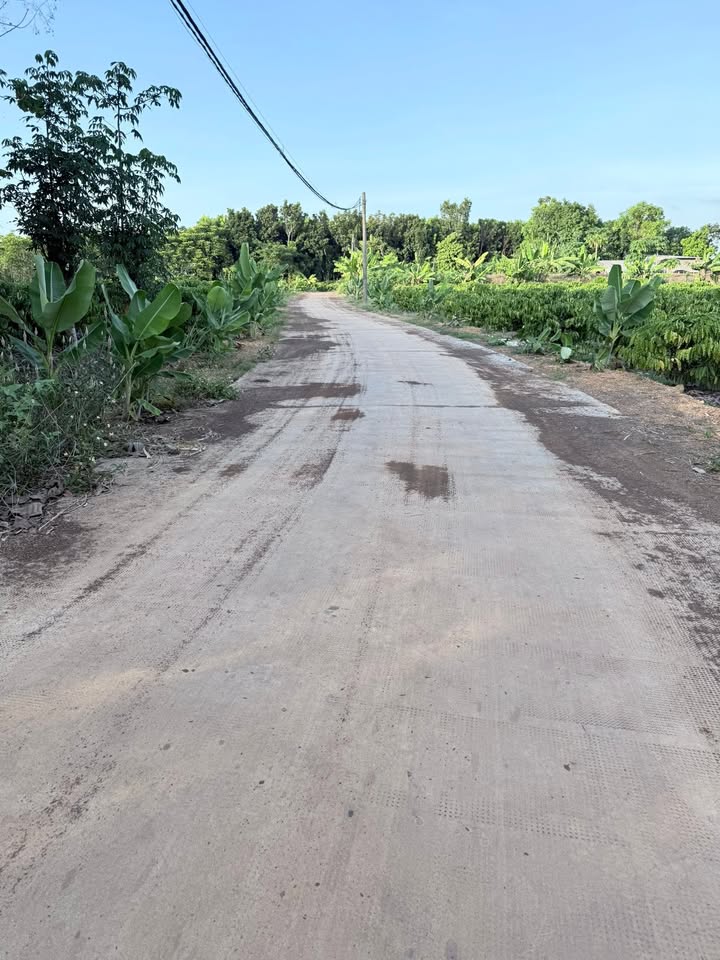 Đất nền Suối Nho 3000m² giá 1.5 tỷ - Sổ hồng chính chủ, bán gấp!