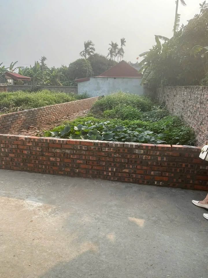 Đất nền Dương Hồng Thủy, Thái Thụy, 86m² giá 400 triệu - Sổ đỏ chính chủ, ô tô vào tận nơi!