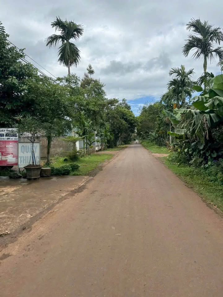 Đất mặt tiền trục chính 171 Hòa Thắng, 1166m² giá 6.5 tỷ - Cơ hội đầu tư tuyệt vời!