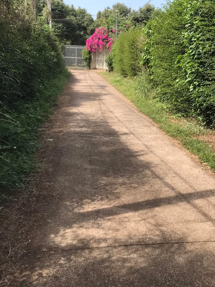 Đất Farm Phú Mỹ Long Khánh 567m² giá 1.7 tỷ - Đầu tư sinh lời ngay!