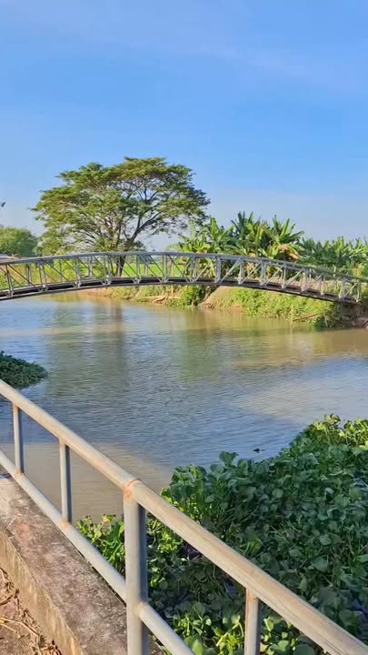 Đất nền và vườn 2 mặt tiền Định Thành, Thoại Sơn 1200m² - Giá chỉ 1.15 tỷ!