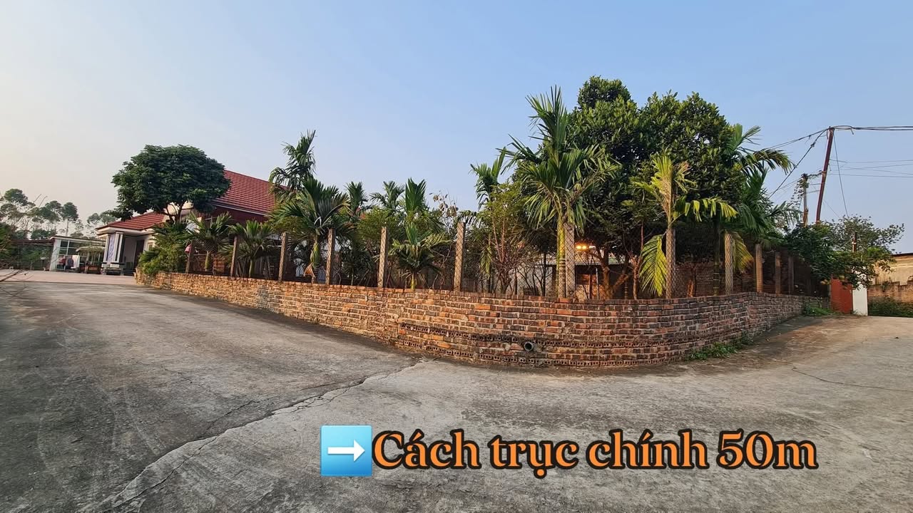 Đất nền 2000m² tại Hy Cương, Phú Thọ giá 4 tỷ - Cơ hội đầu tư sinh lời!