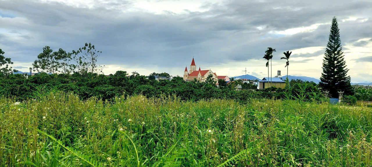 Đất nền 3000m² Lộc An, Bảo Lâm, Lâm Đồng giá 5 tỷ - View thoáng, ôm 2 mặt tiền đường nhựa!