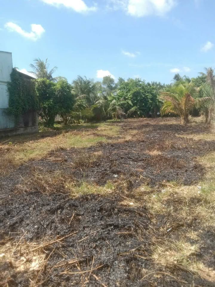 Đất thổ cư Tân Nhựt 1056m² giá 29 tỷ - Sổ riêng công chứng trong ngày!