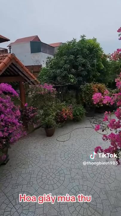 Căn hộ Mường Thanh Phủ Lý 62m² giá 1.5xx tỷ - Thiết kế hiện đại, đầy đủ nội thất!