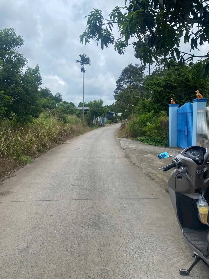 Nhà riêng ấp Cây Trắc, Củ Chi 140m² giá 2.35 tỷ - Chính chủ bán gấp!