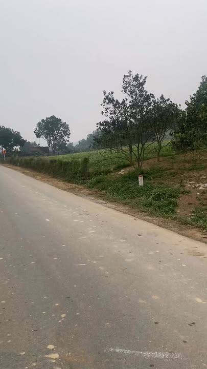 Đất nông trường Lạc Thủy 2000m² - Cơ hội đầu tư sinh lời tại vị trí đắc địa!