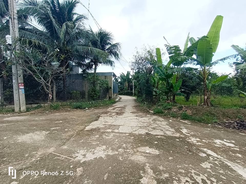 Đất thổ cư Diên Toàn, Diên Khánh 138m² giá chỉ 1.578 tỷ - Sống gần gũi thiên nhiên!