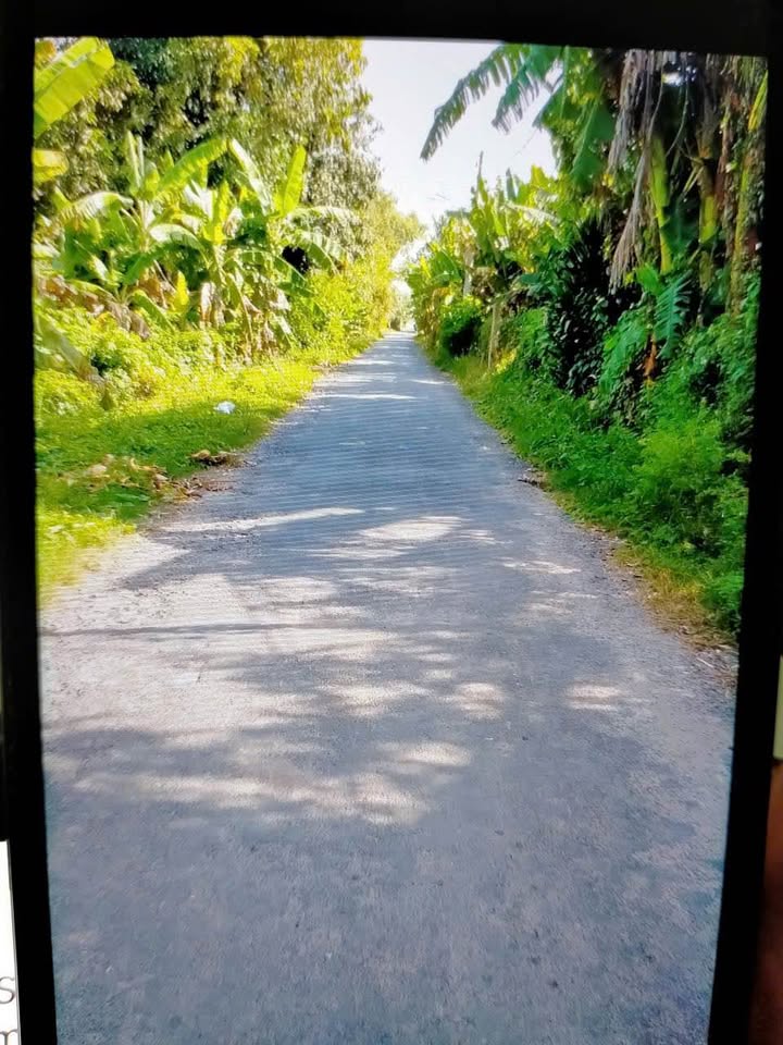 Đất nền 1310m² tại Kinh Đào, Thị trấn Phú Hòa - Giá 1.6 tỷ, Thương lượng!