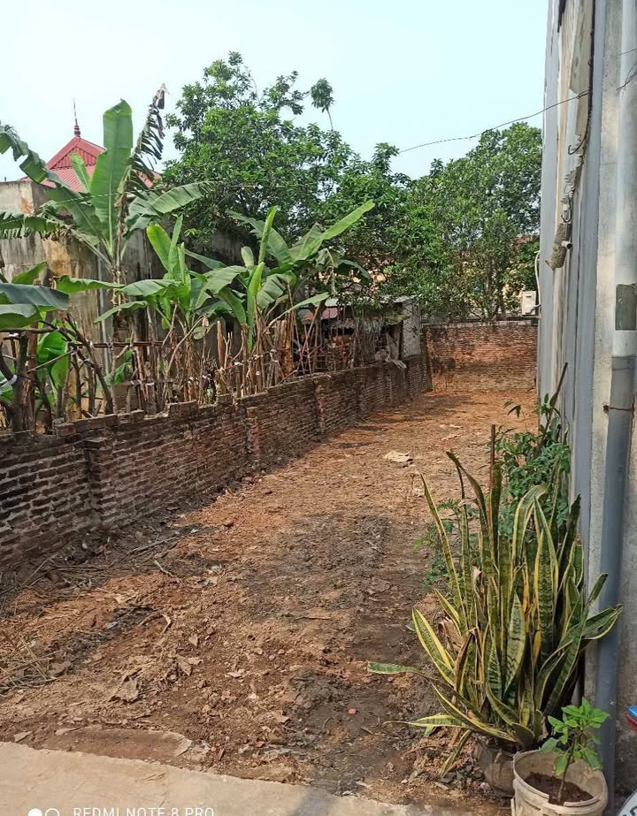 Đất nền xã Tự Nhiên - Thường Tín 85m² giá 3.7 tỷ - Ô tô đỗ cửa, tiềm năng lớn!