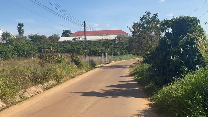 Đất nền 2 sào Tân Thanh, Lâm Hà 1.37 tỷ - Sổ thổ cư chính chủ, đầu tư sinh lời!