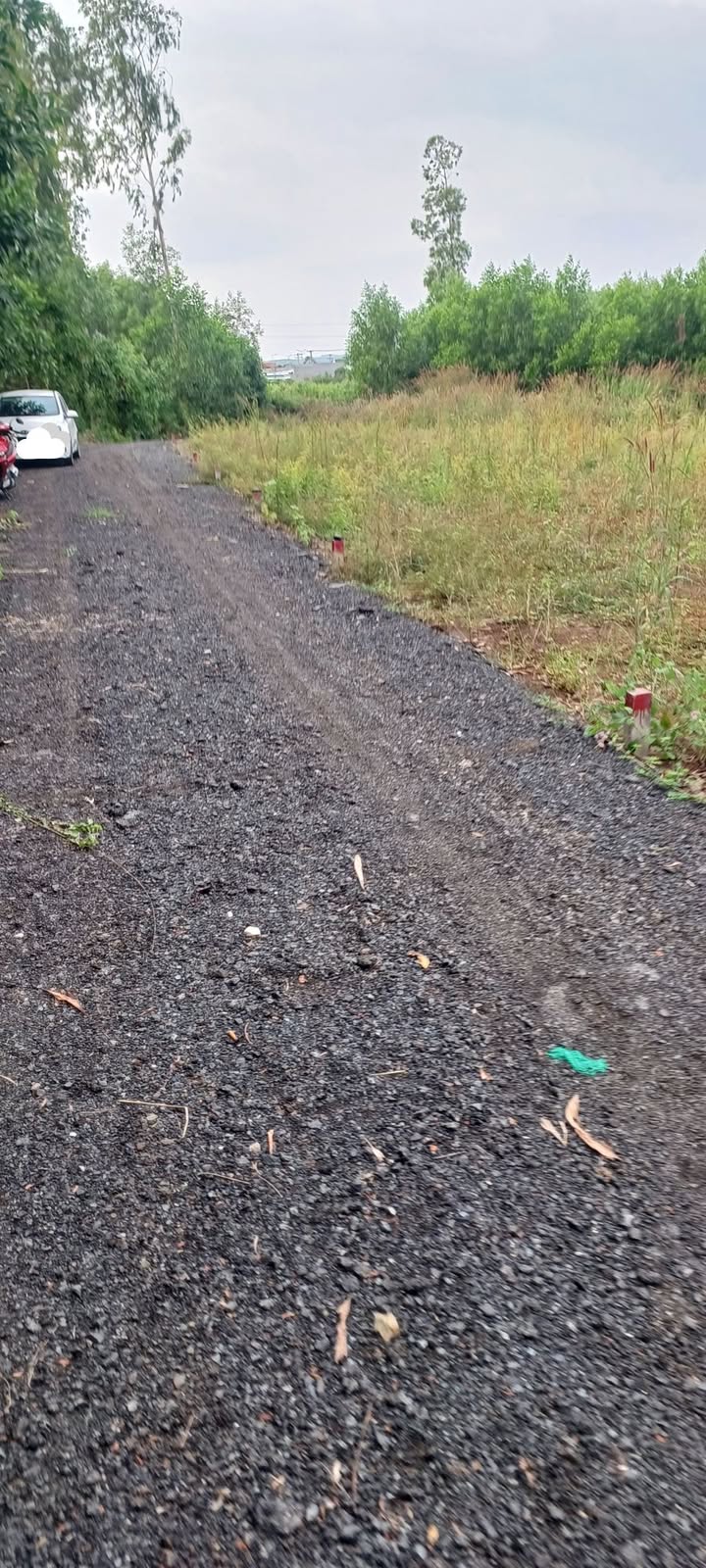 Đất nền Thị trấn Đất Đỏ 100m² giá chỉ 500 triệu - Cần bán gấp!