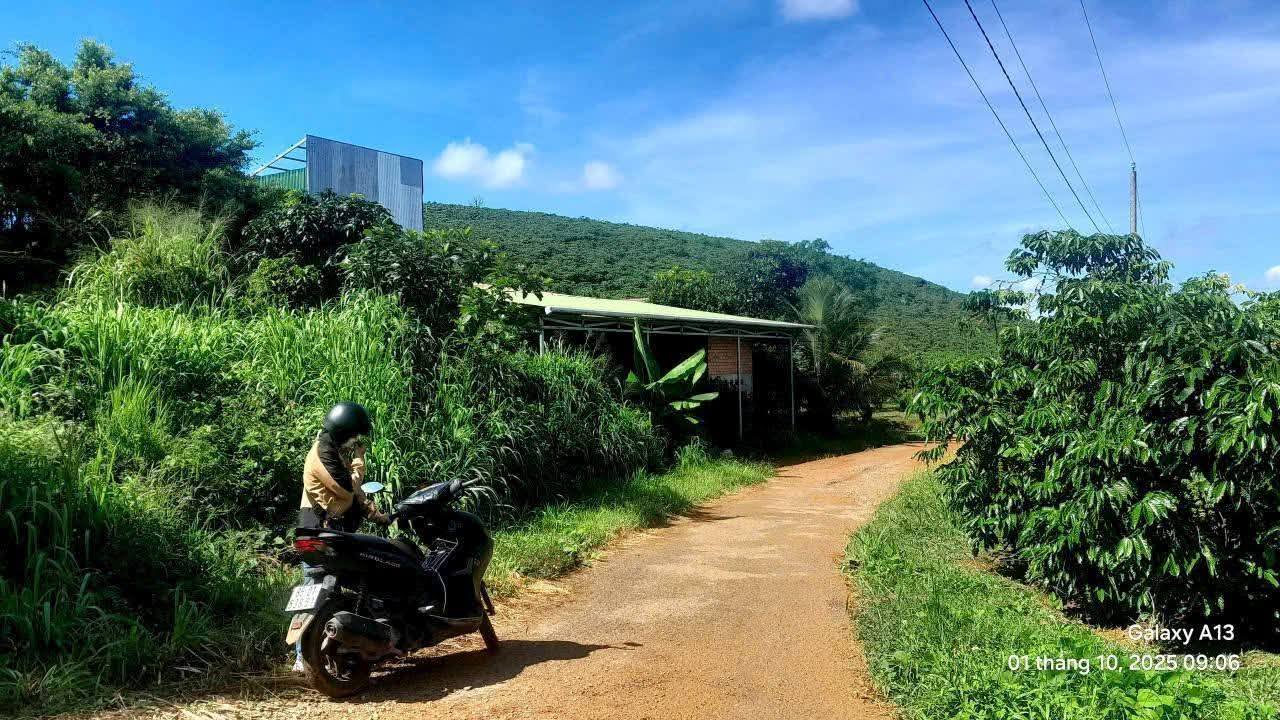 Đất thổ cư Lộc Đức, Bảo Lâm 40.000m² giá chỉ 250 triệu - Cơ hội đầu tư sinh lời!