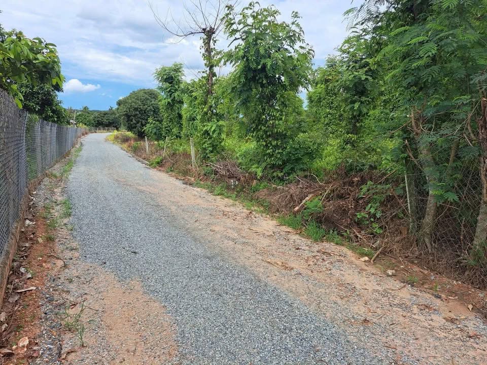 Đất thổ cư 100m² tại thôn 8, xã Cư Ni, Huyện Ea Kar - Giá chỉ 7xx triệu