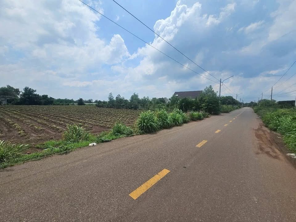 Đất nền mặt tiền nhựa Phước Long Thọ 203m² giá 4.7 tỷ - Pháp lý rõ ràng, sổ hồng sẵn!