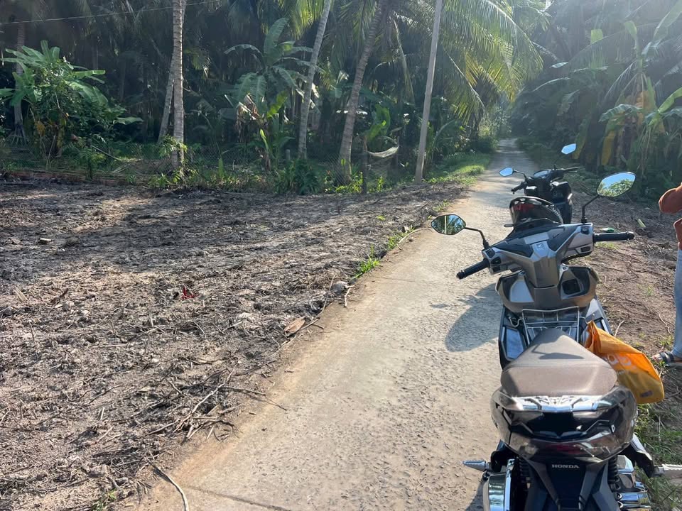 Đất thổ cư Hiếu Phụng, Vĩnh Long 1431.84m² giá chỉ 185 triệu - Nở hậu, gần chợ và trường học!