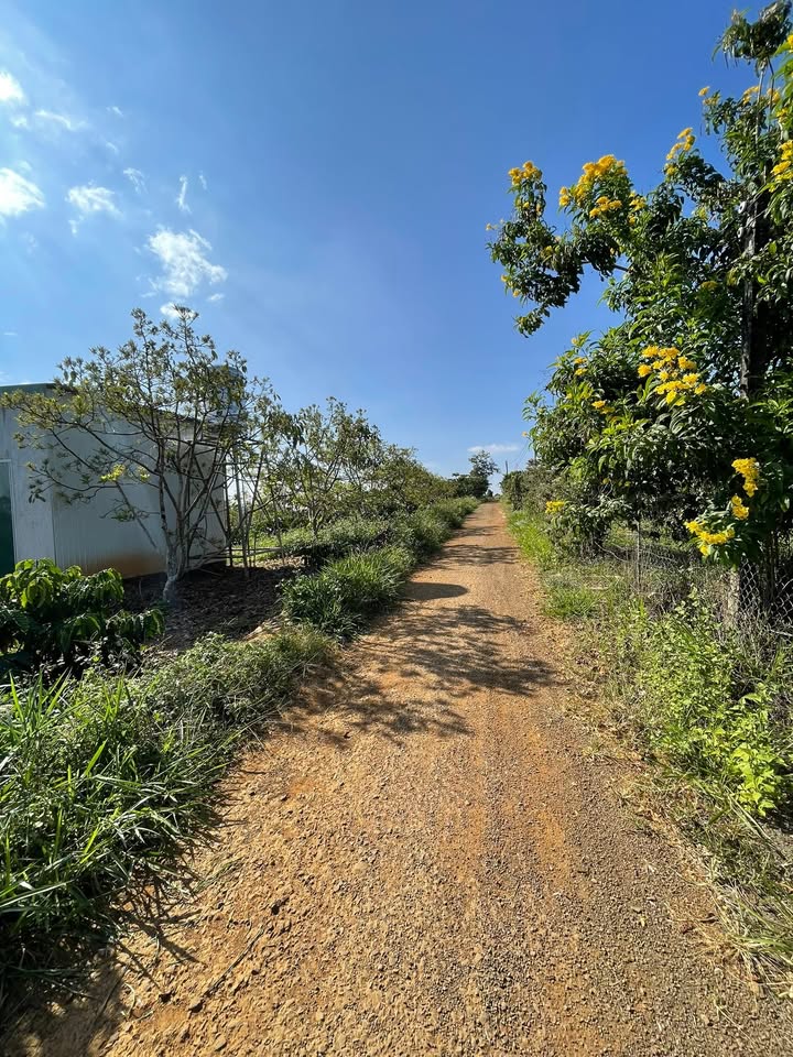 Đất thổ cư mặt tiền Nguyễn Viết Xuân nối dài, 1014m² giá chỉ 1.539 tỷ - Cơ hội đầu tư tuyệt vời!