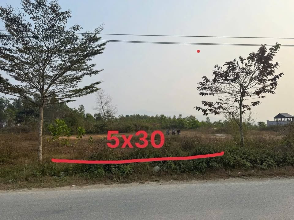 Đất thổ cư 150m² tại Sơn Hùng, Thanh Sơn chỉ 1 tỷ - Cơ hội đầu tư sinh lời!